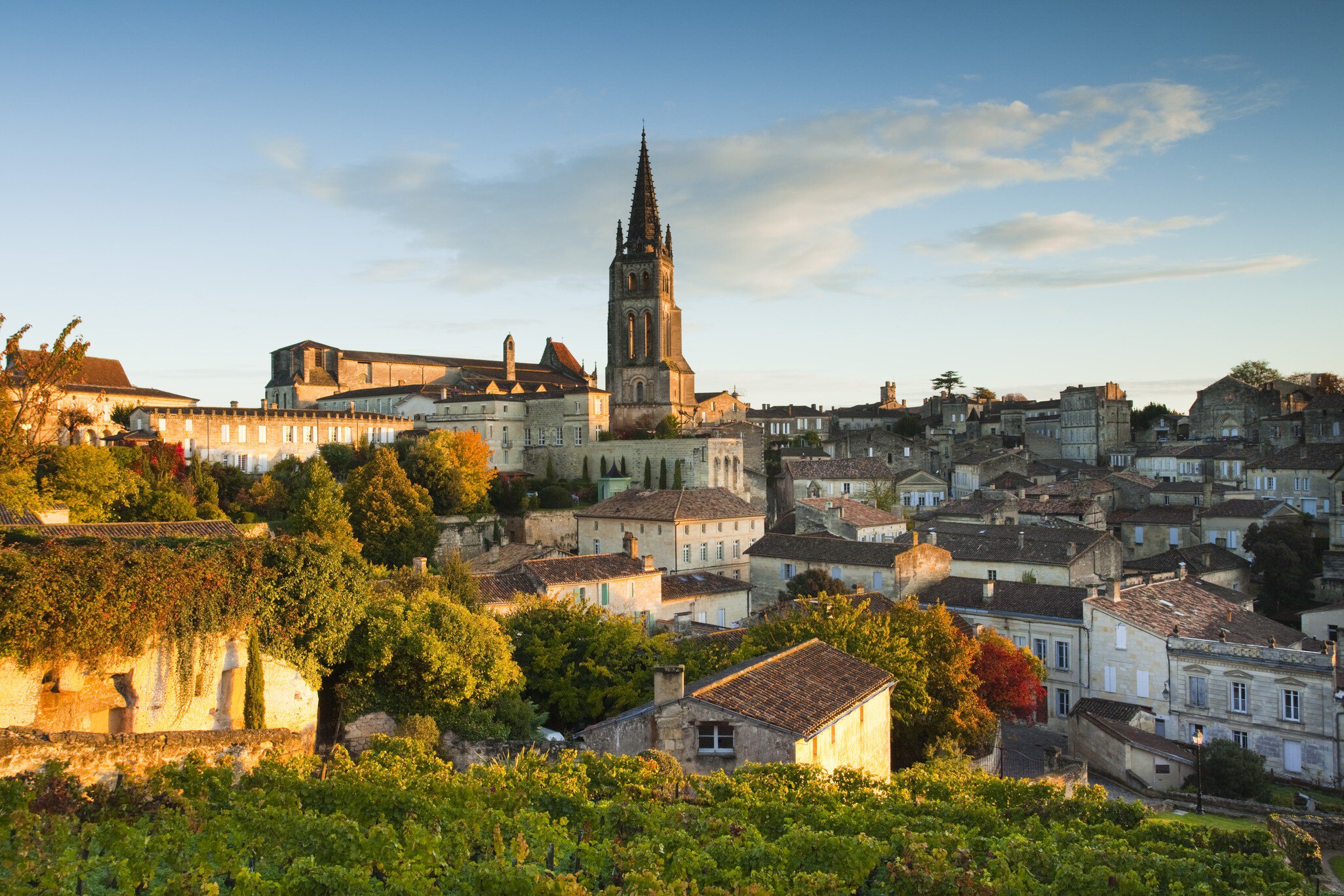 France, Aquitaine Region, Gironde Department, St-Emilion, wine town, town view with Eglise Monolithe church, monring