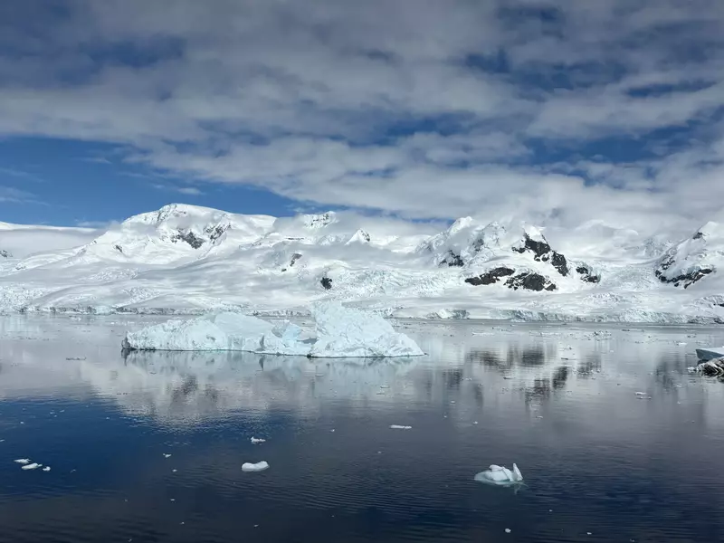 Icebergs float in calm reflective ocean.