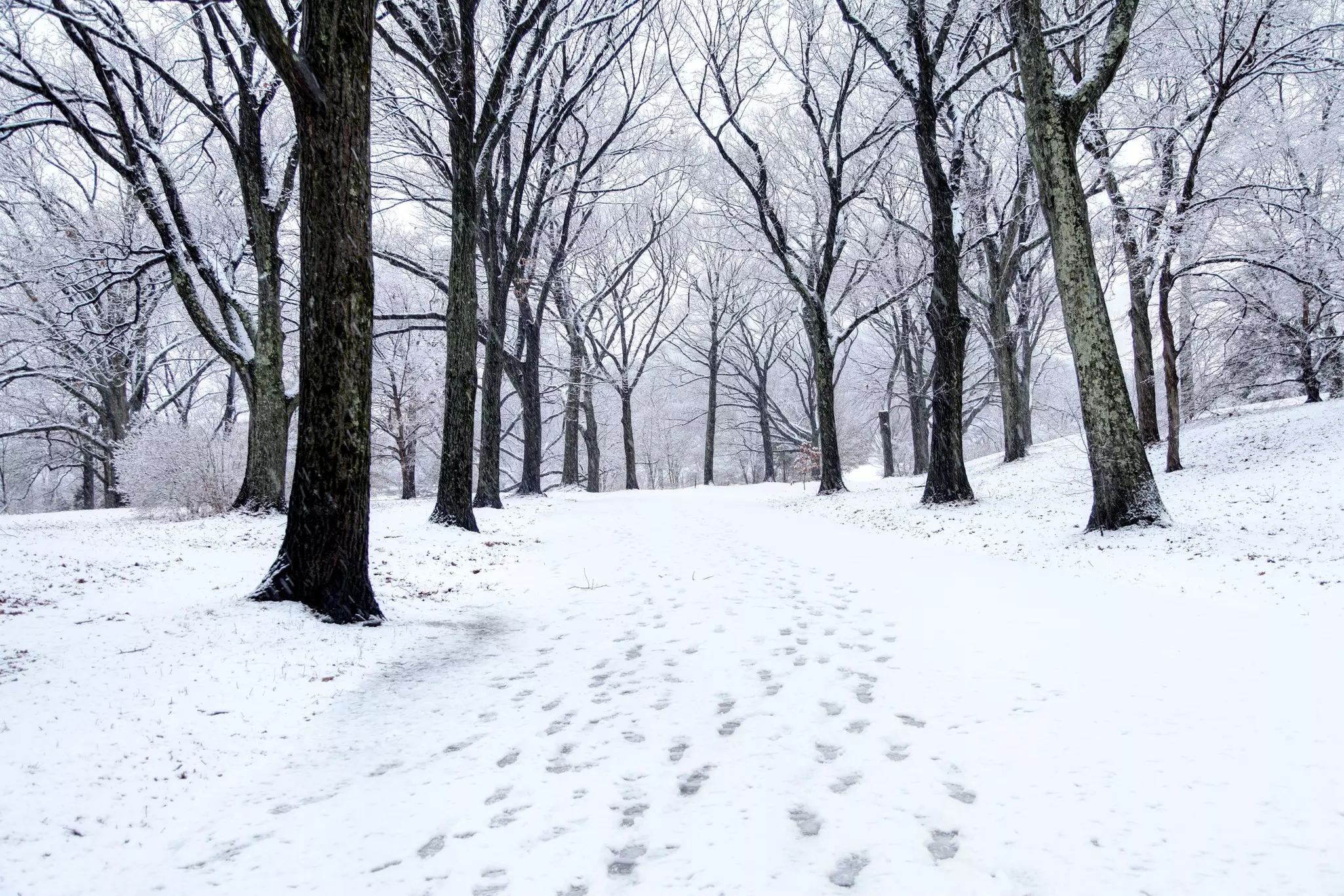 The Arnold Arboretum makes for a pleasant stroll in the Jamaica Plain and Roslindale sections of Boston © Denis Tangney Jr/Getty Images
