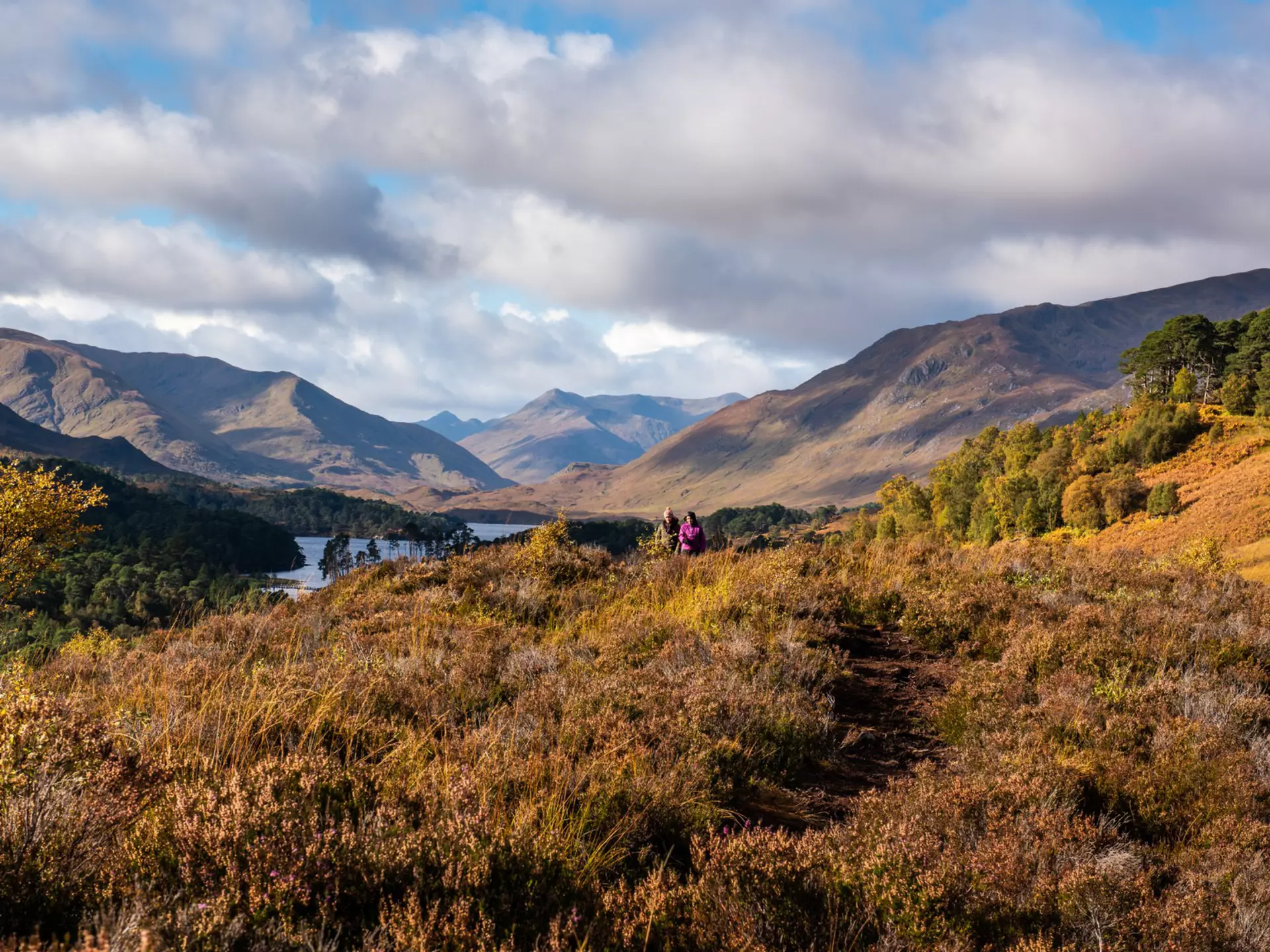 Walkers in Glen Affric, a great scenic hike in Scotland