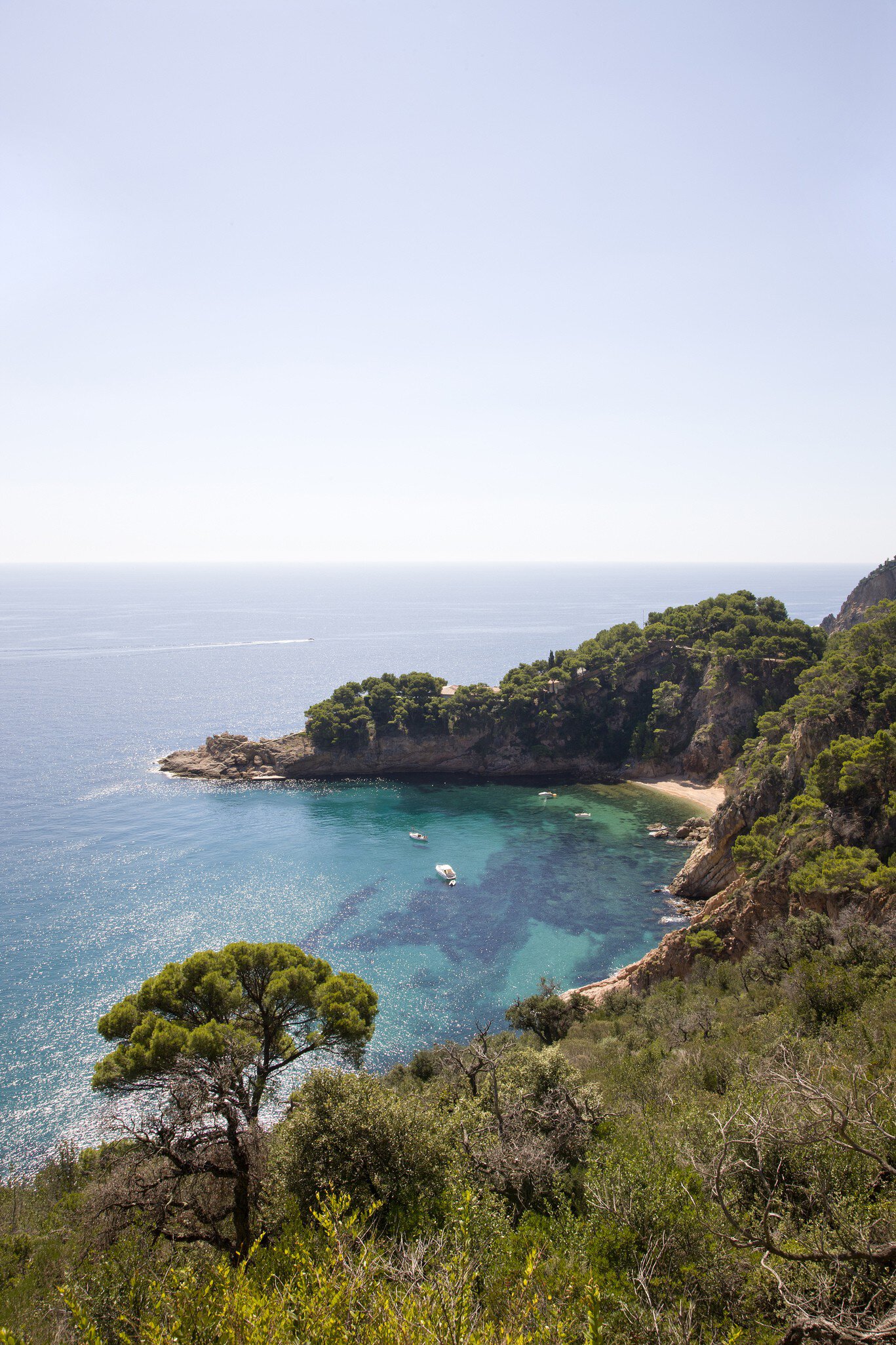 Overview of secluded cove in Aigua Blava Bay.