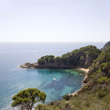 Overview of secluded cove in Aigua Blava Bay.