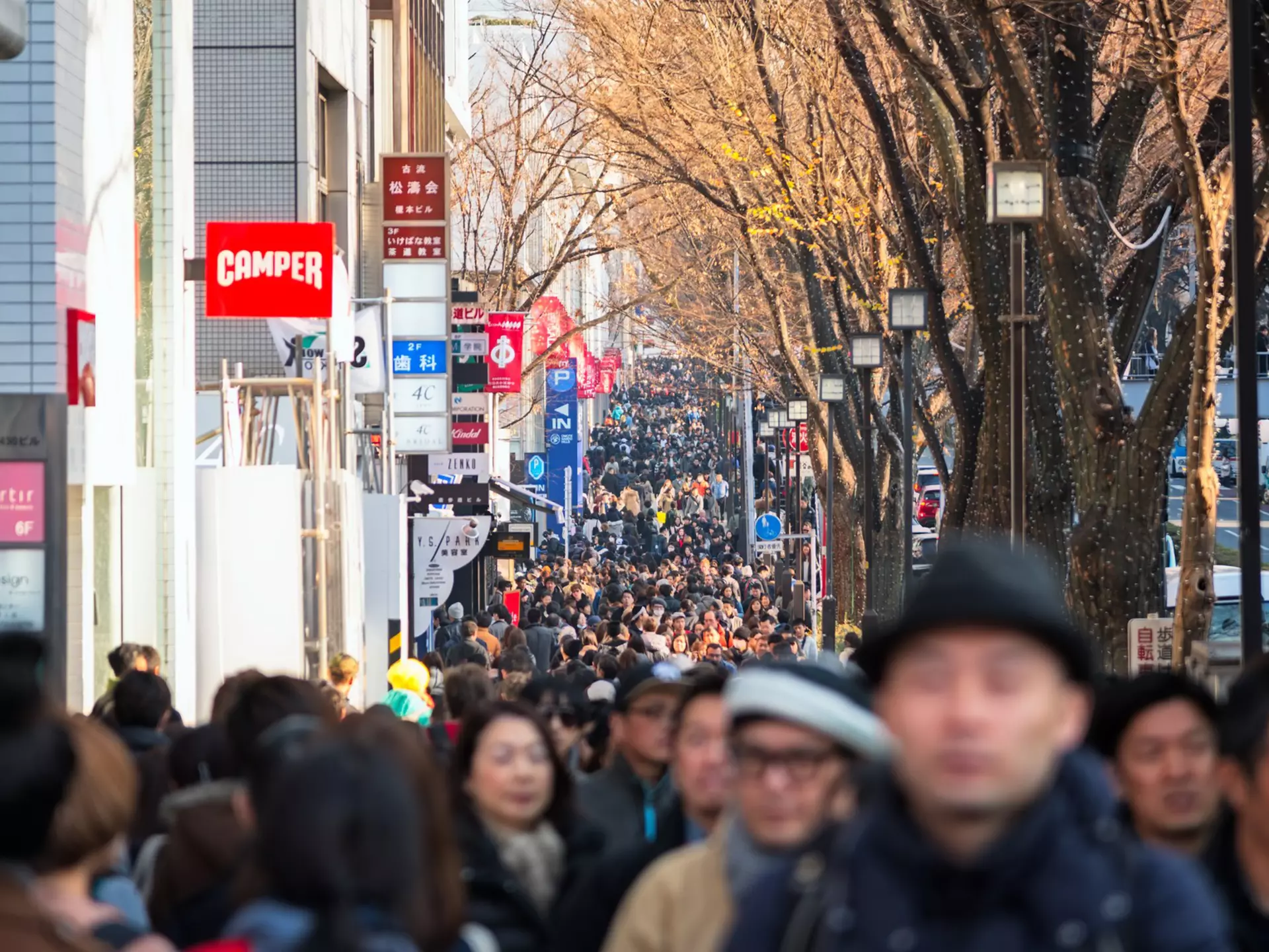 Crowds on Omote-sandō, Harajuku, Tokyo. yangyuen/Shutterstock