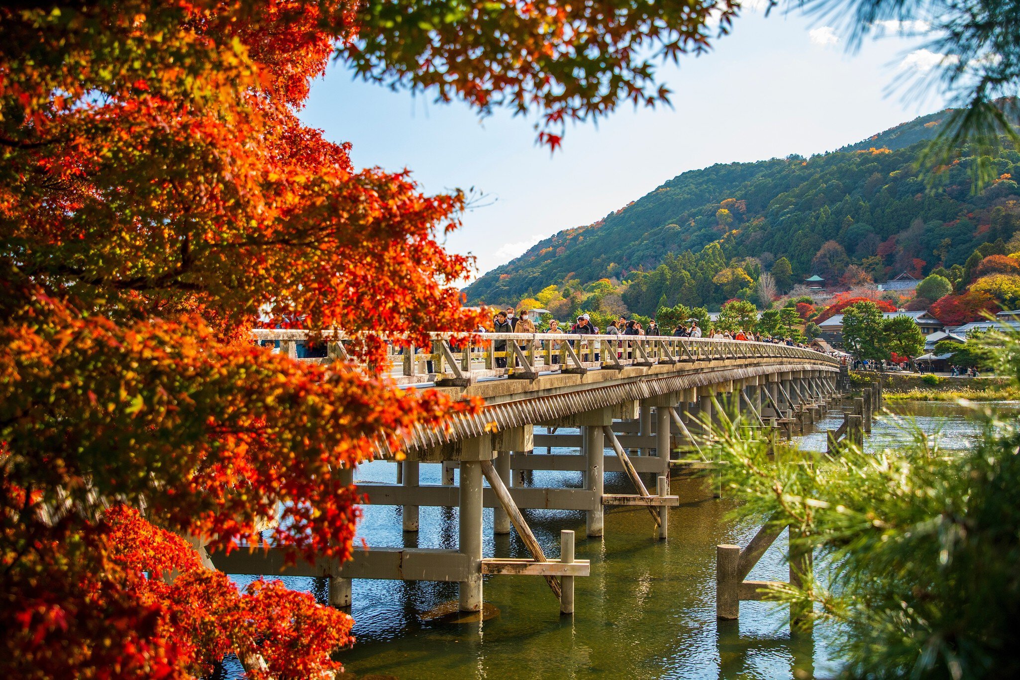 Kyoto City, japan-December 7, 2024: Togetsukyo Bridge is a landmark of the Arashiyama area in Kyoto. In autumn, Arashiyama is full of colorful maple leaves., License Type: media, Download Time: 2026-05-27T18:05:20.000Z, User: LP_NZhan, Editorial: true, purchase_order: 65050 - Digital Destinations and Articles, job: App Content, client: Lonely Planet App, other: Nadine Zhan