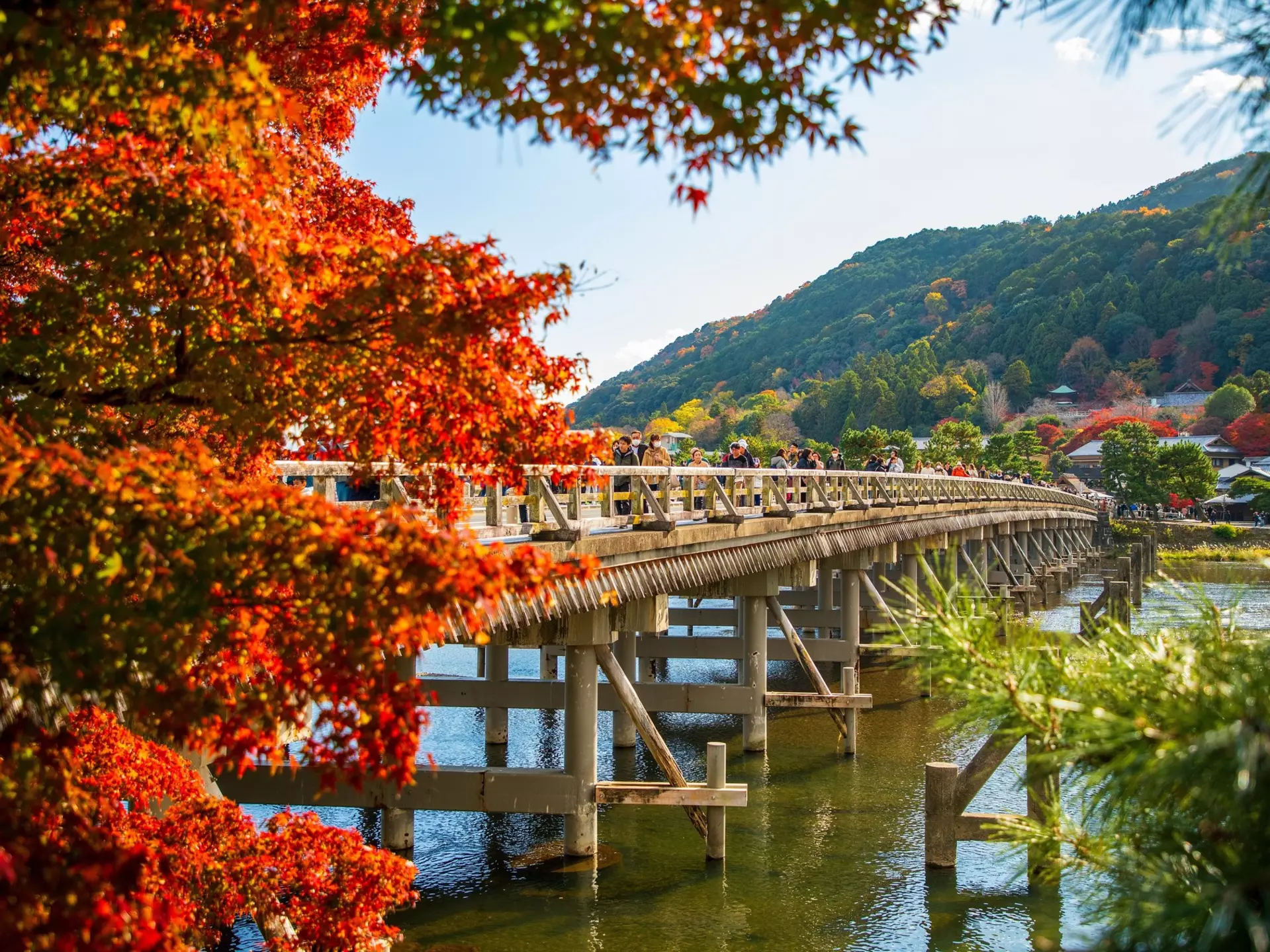 Fall colors next to Togetsukyo Bridge in the Arashiyama district in Kyoto.