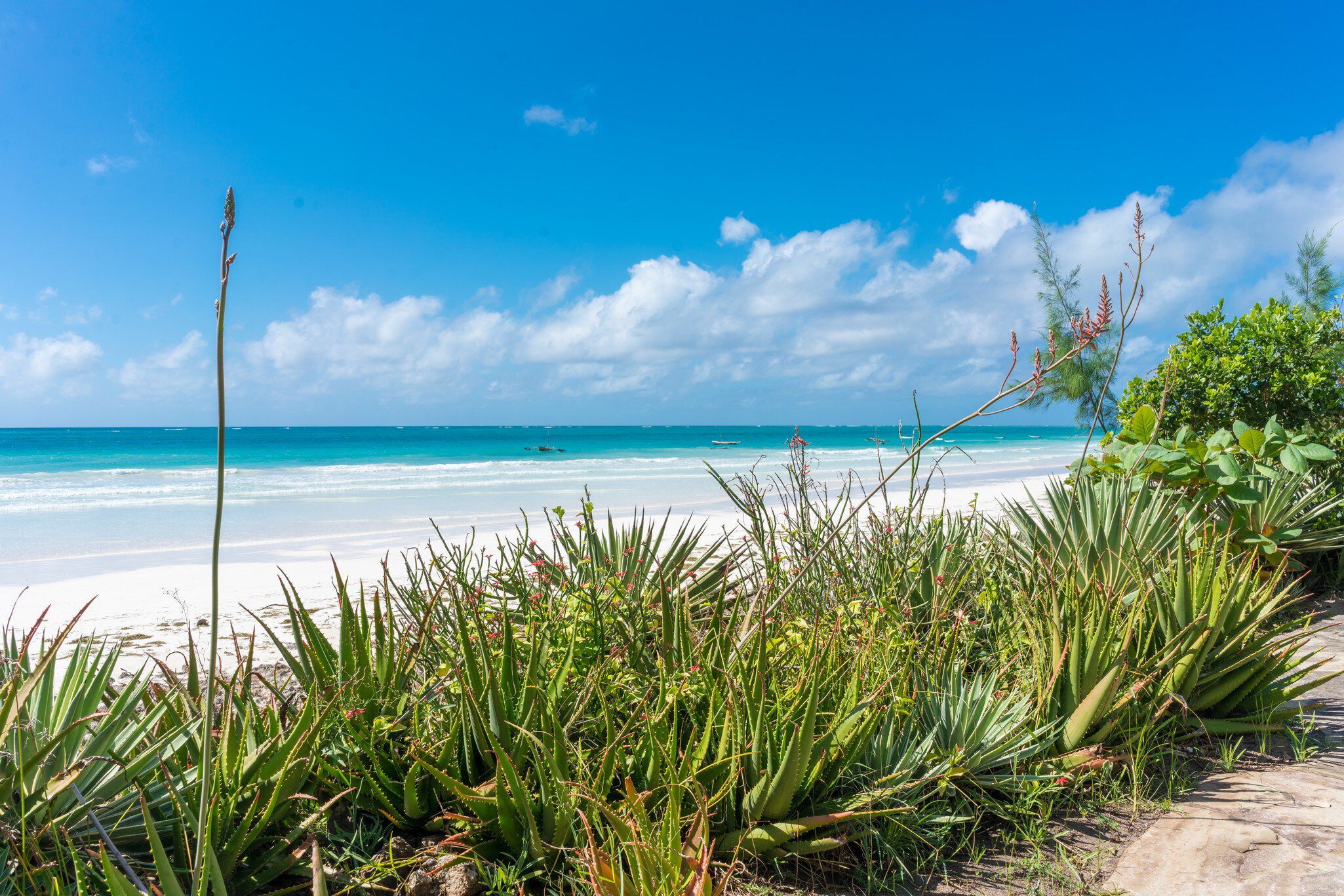 Diani Beach in Mombasa, Kenya is a stunning resort town © derejeb / Getty Images