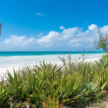 Diani Beach in Mombasa, Kenya is a stunning resort town © derejeb / Getty Images