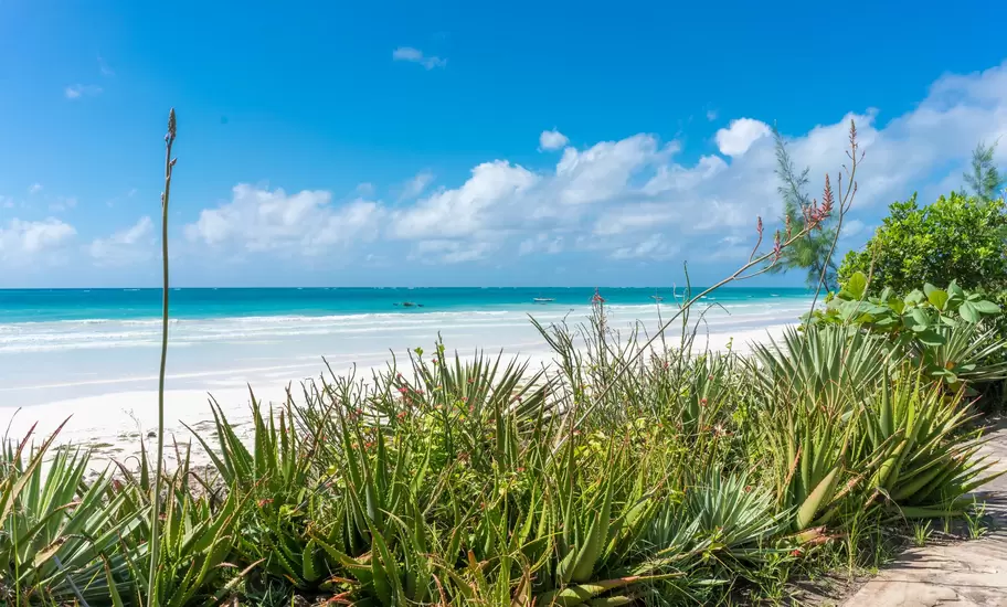 Diani Beach in Mombasa, Kenya is a stunning resort town © derejeb / Getty Images