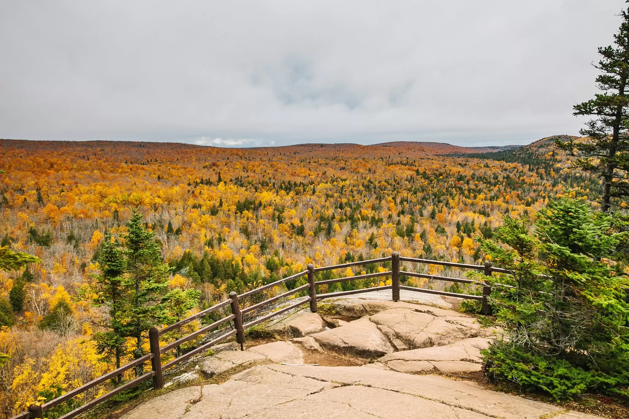 Fall foliage in North Woods. Oksana Tysovska/Shutterstock