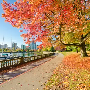 Autumn colors along the seaside walk in Stanley Park, Vancouver, Canada