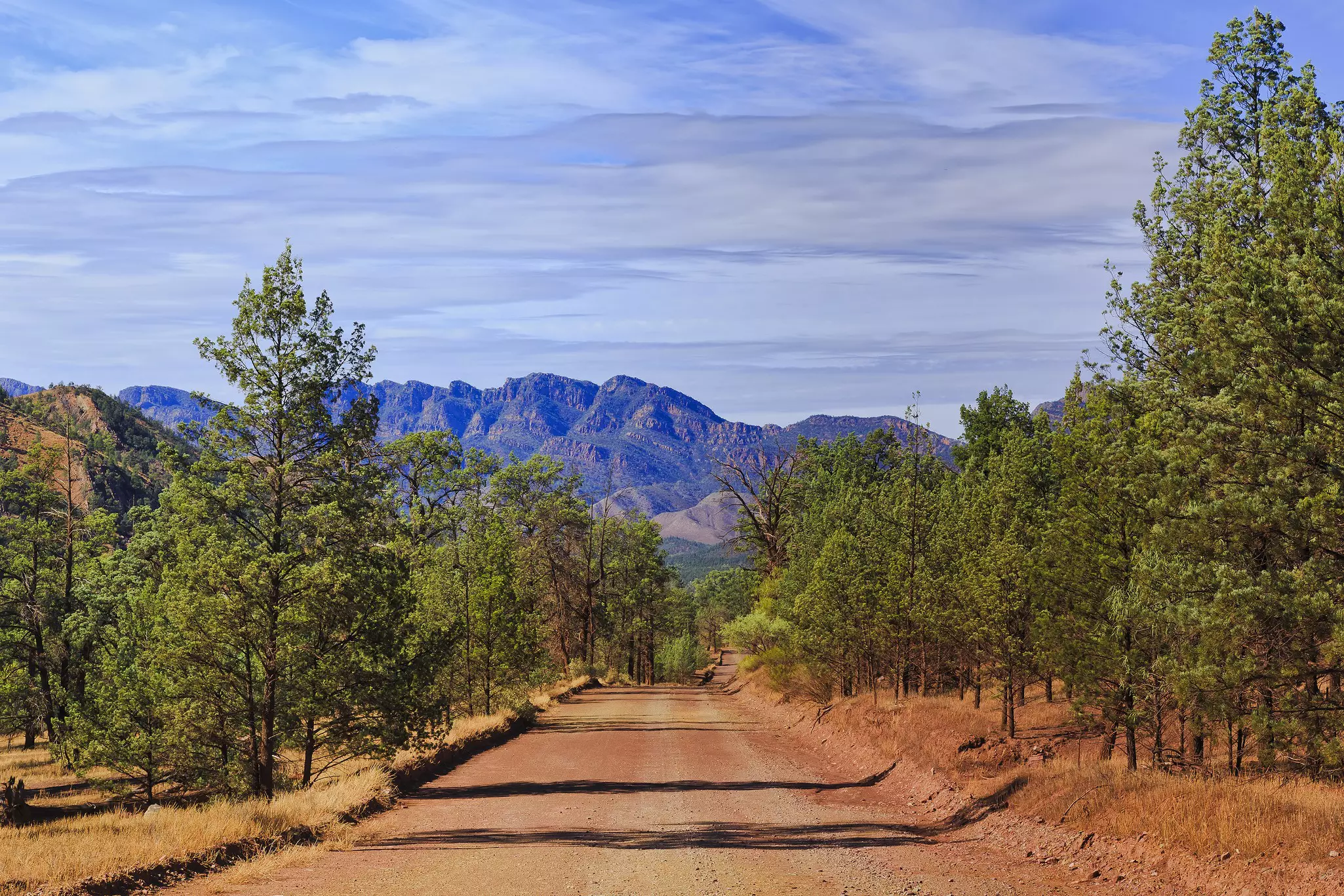 A red dusty road leading through the bush towards some hills.
