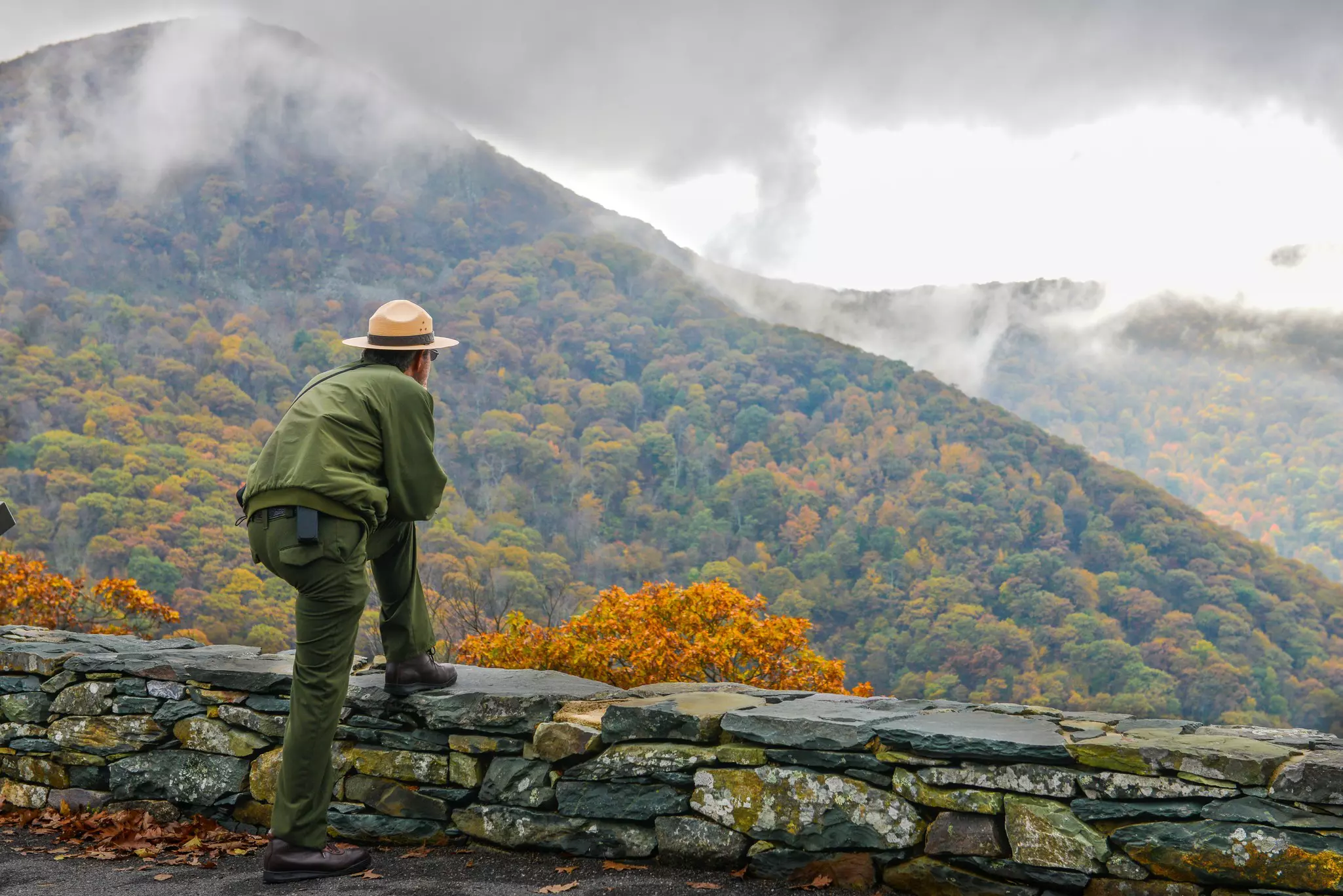 Park ranger with foot up on low stone wall overlooking autumn foliage and mountains in Shenandoah National Park.