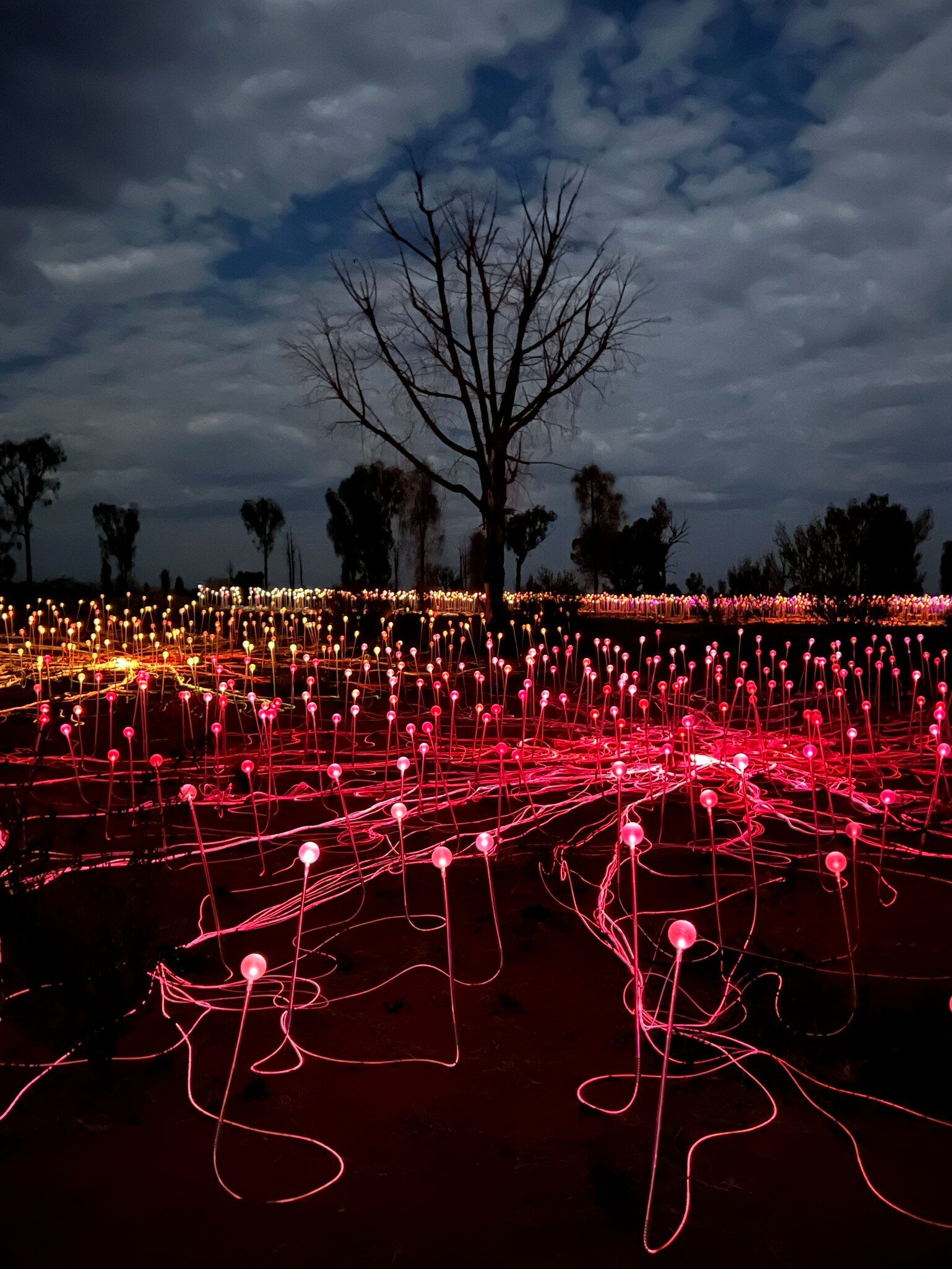 Bruce Munro's Field of Light near Uluru-Kata Tjuta National Park. Northern Territory, Australia.