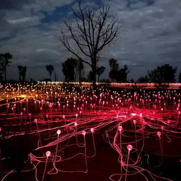Bruce Munro's Field of Light near Uluru-Kata Tjuta National Park. Northern Territory, Australia.