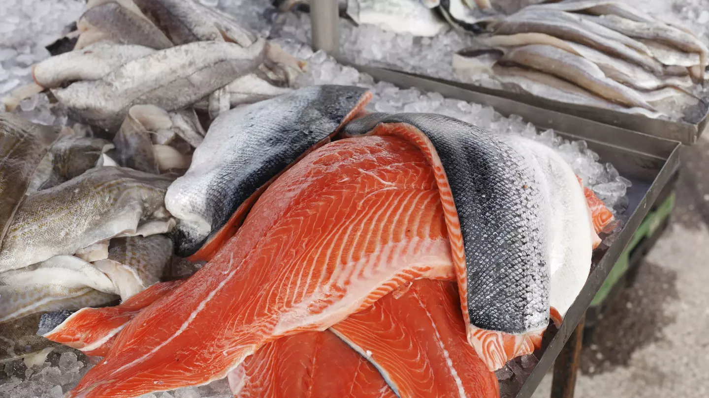 Fresh salmon at a fish market in County Kerry
