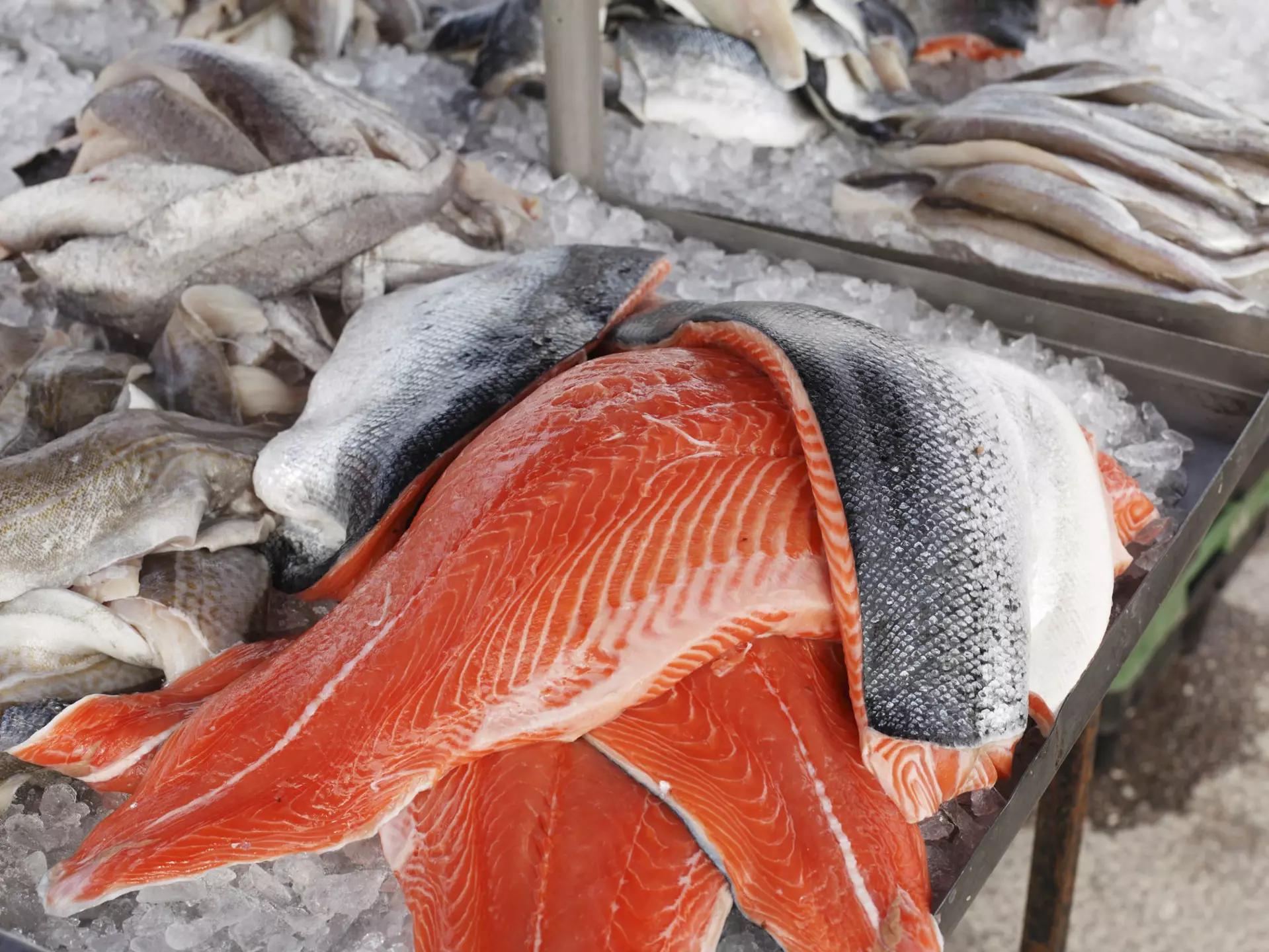 Fresh salmon at a fish market in County Kerry