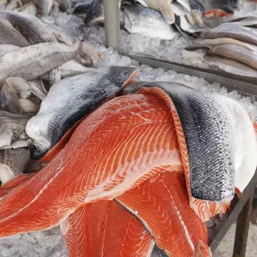 Fresh salmon at a fish market in County Kerry