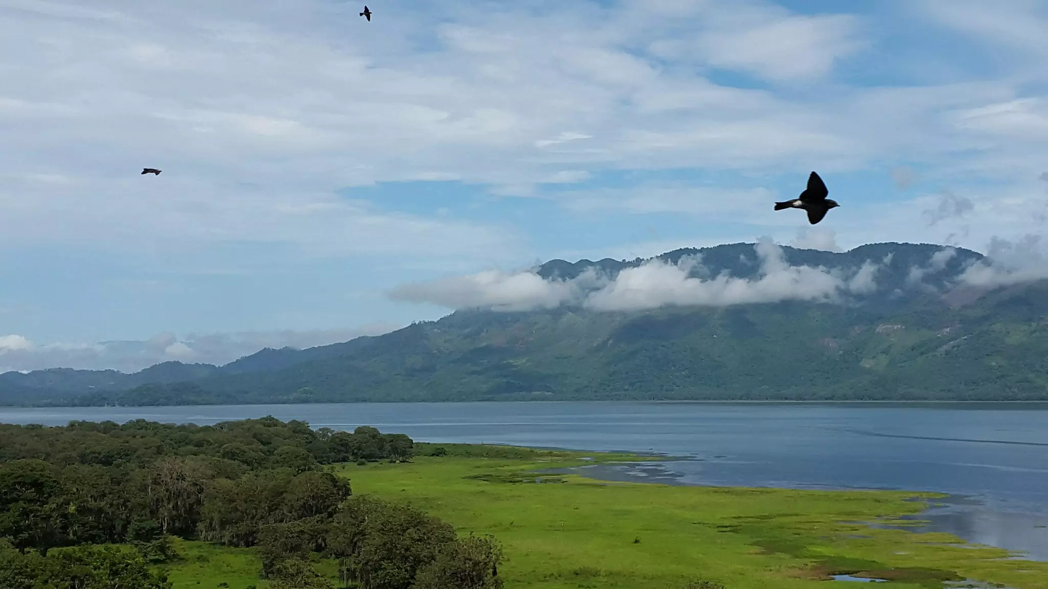 Birds fly over Lago de Yojoa in western Honduras