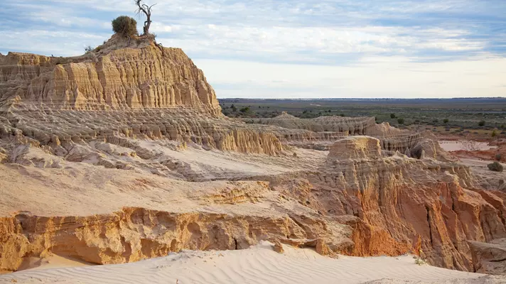 A tree on top of a mesa with hoo doo rock formations in the foreground