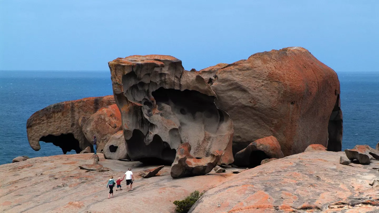 A formation resembling a nesting eagle, the Remarkable Rocks are a highlight of any visit to Kangaroo Island © fotofritz16 / iStock Editorial / Getty Images Plus