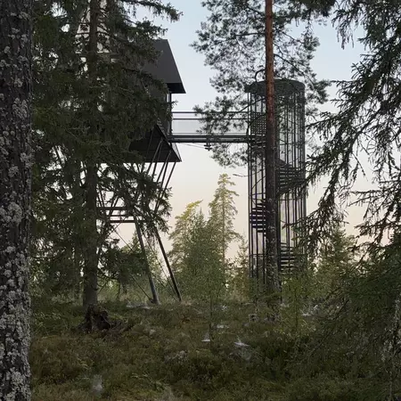PAN Treetop Cabin with nature all around