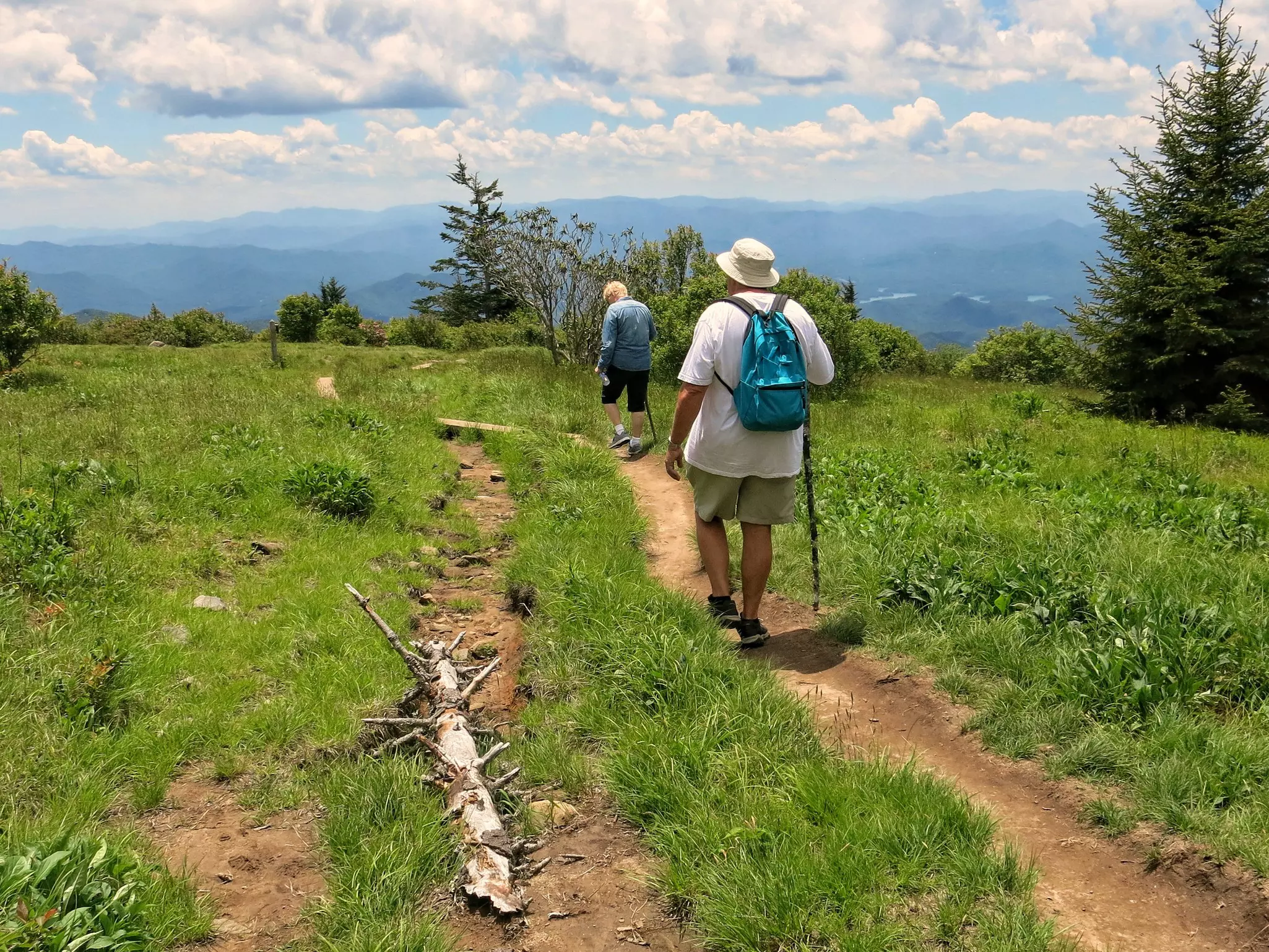 There are miles of hiking trails across Great Smoky Mountains National Park © Katie Dobies / Getty Images