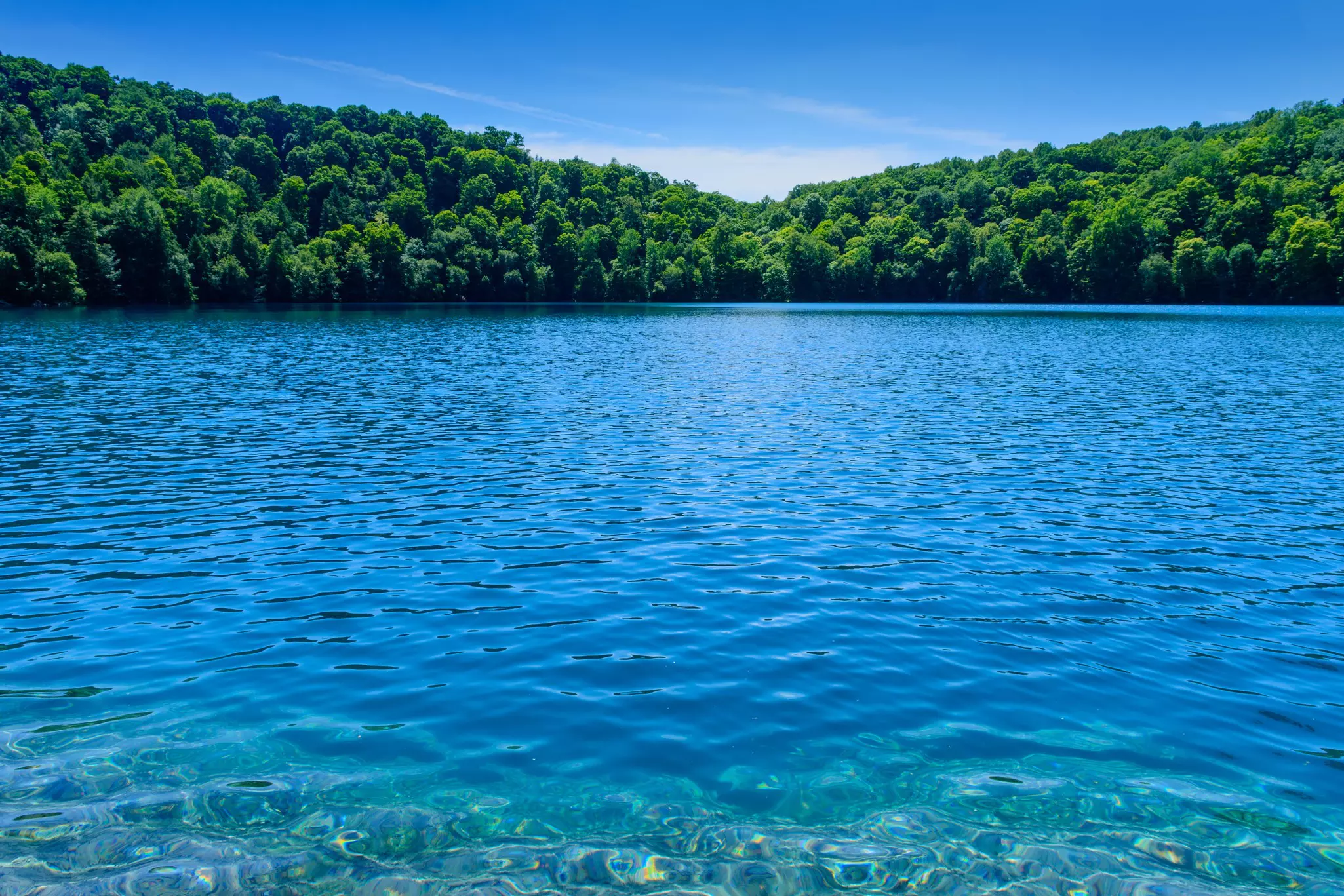 A clear blue lake in New York is bordered by green trees under a cloudless sky.