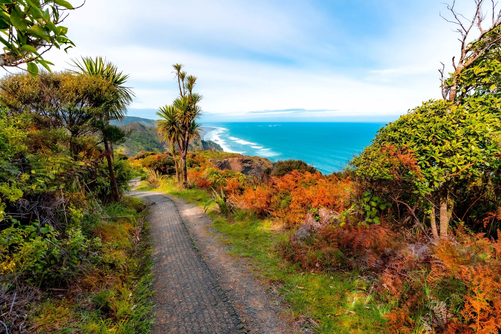 A path with lush vegetation on either side leading along a cliff, with waves crashing in blue water in the distance.