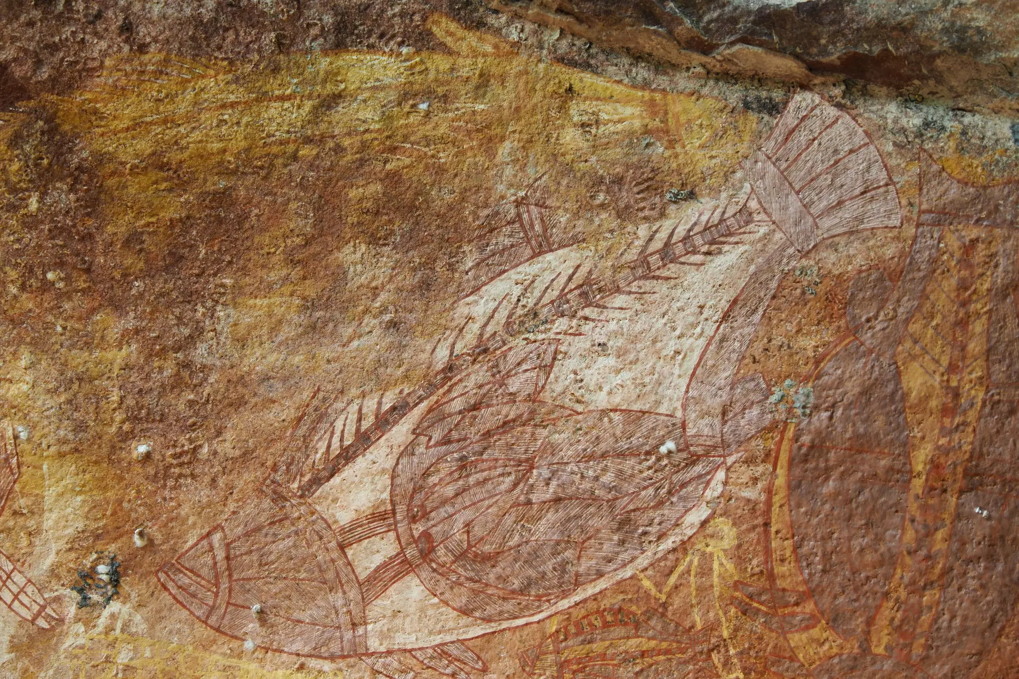 Etchings in a rock wall that resemble a large fish, with fins and scales in red and a white background.