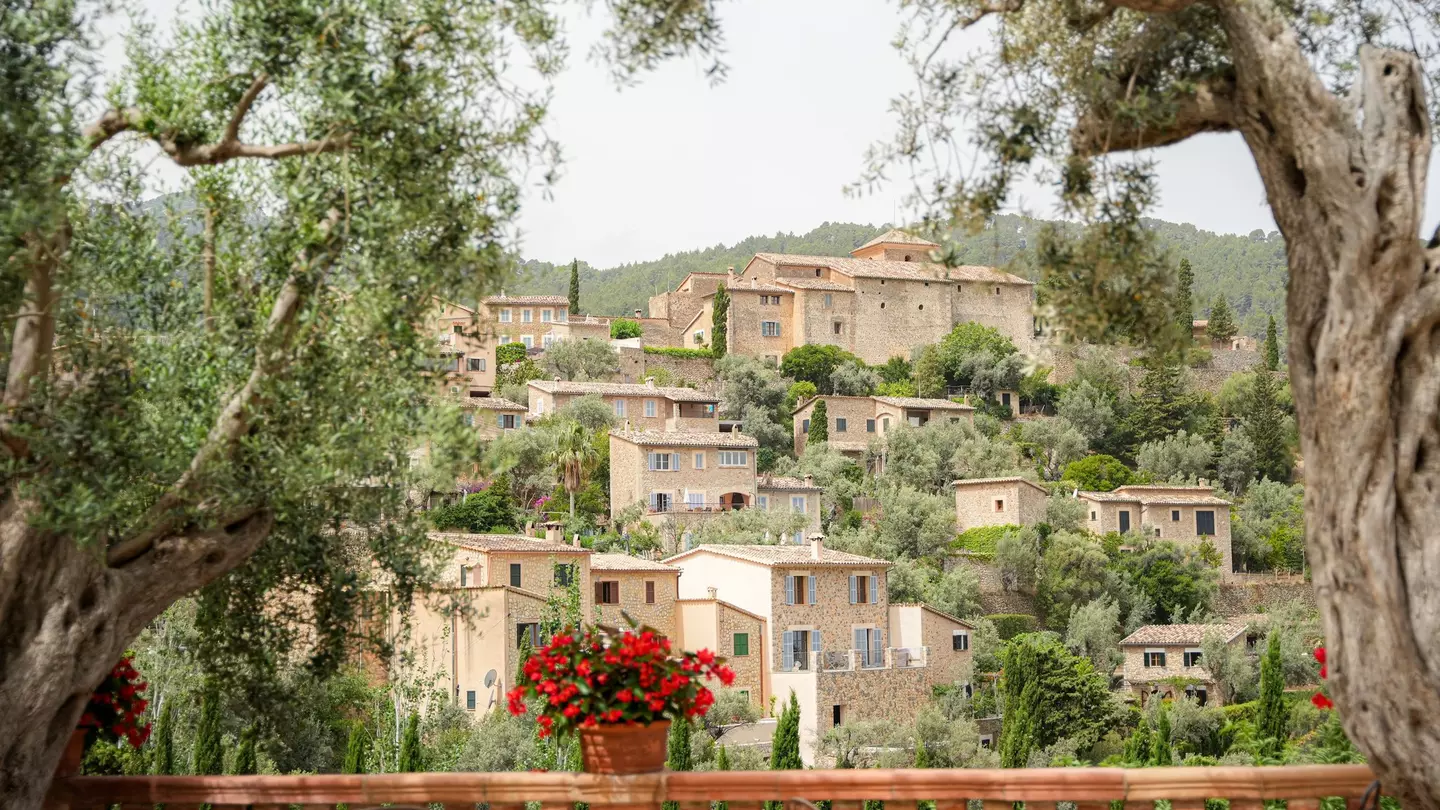 Historic stone homes built on a hill in a village are seen from a outdoor terrace framed by trees and potted flowers.