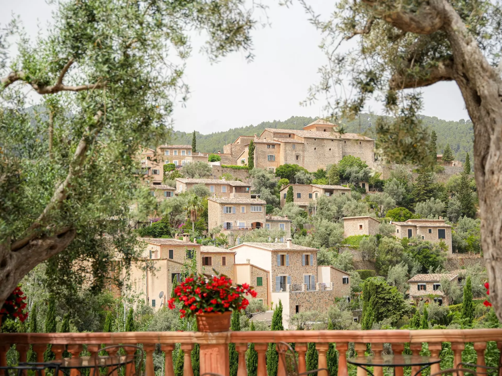 Historic stone homes built on a hill in a village are seen from a outdoor terrace framed by trees and potted flowers.