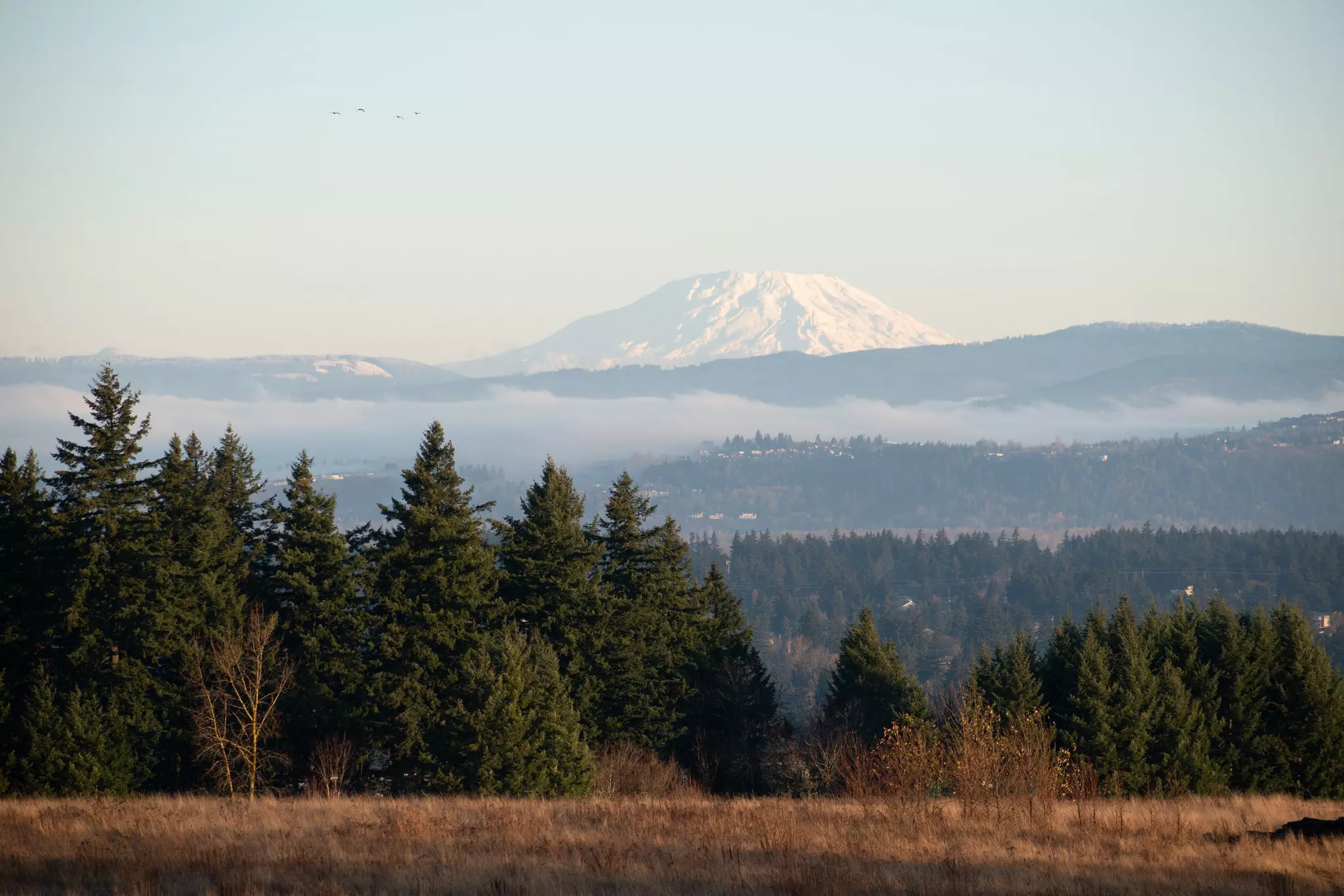 A snow-topped volcano is seen in the distance across a valley from the field of a park.