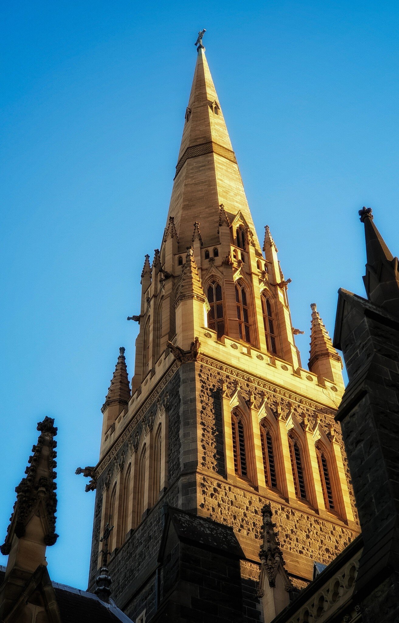The spire of St Paul’s Cathedral photographed against a clear blue sky in the evening light. Melbourne, Australia.