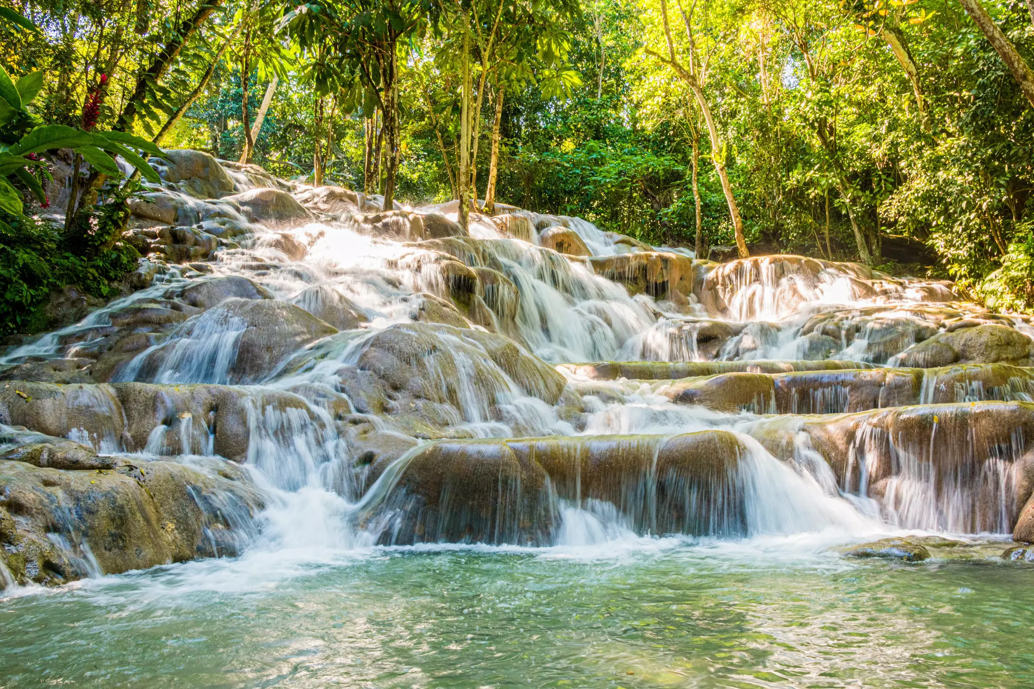 The upper portion of Dunn's River Falls, with trees all around on a sunny day