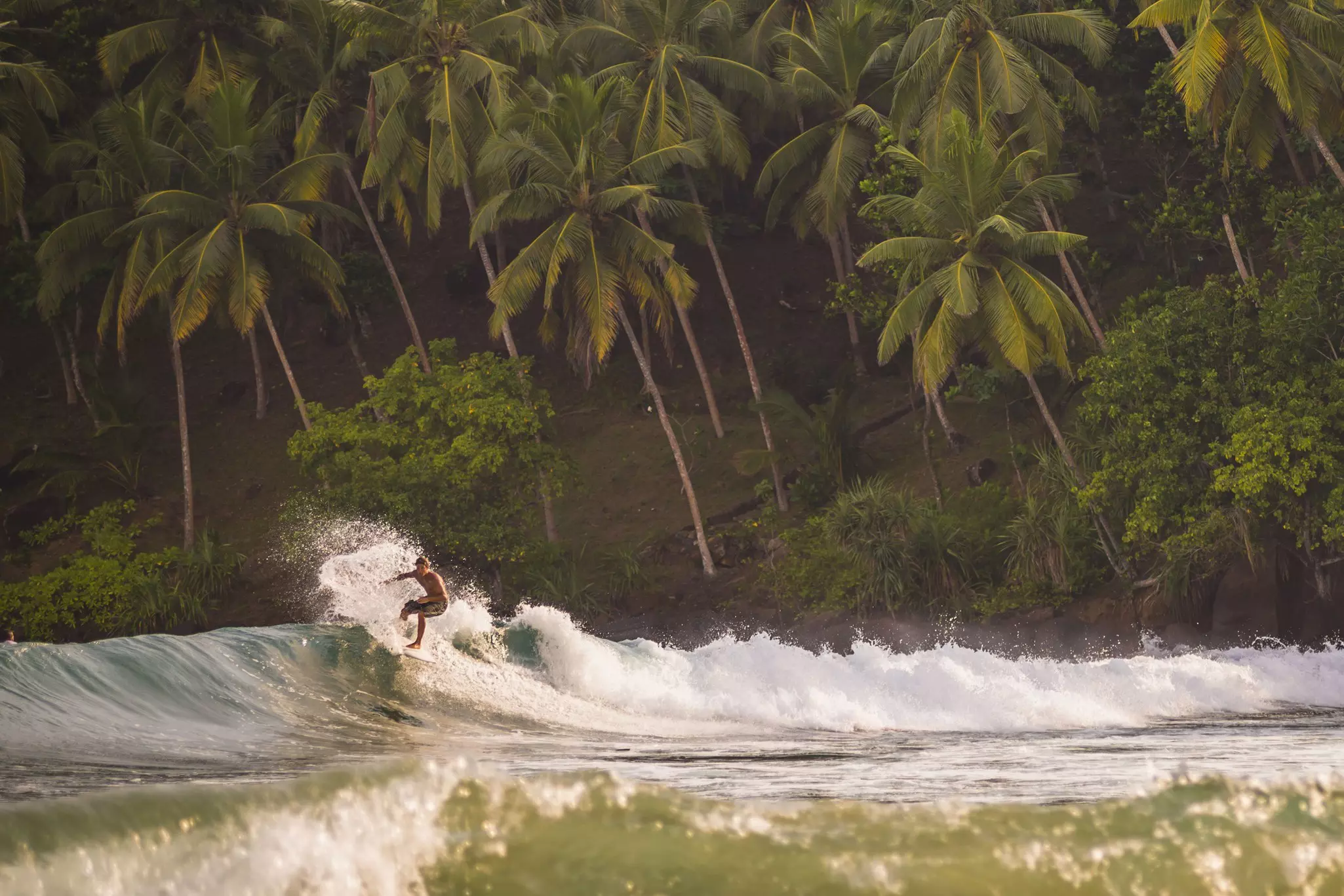 Mirissa Beach, surfer surfing at sunset, South Coast of Sri Lanka, Southern Province, Asia