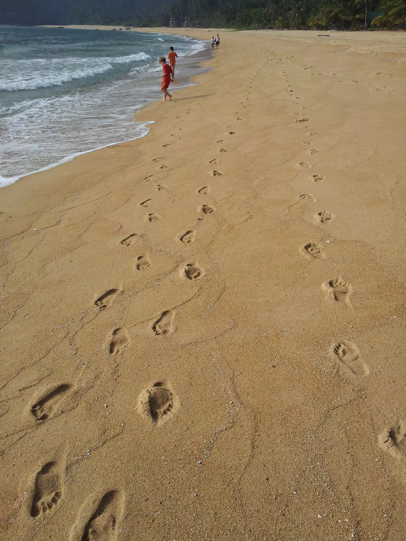 A ferry on the Hooghly. The only means of transport for the common man, the ferry costs just 5 rupees to take you from Howrah to Calcutta ©Anubhuti Krishna