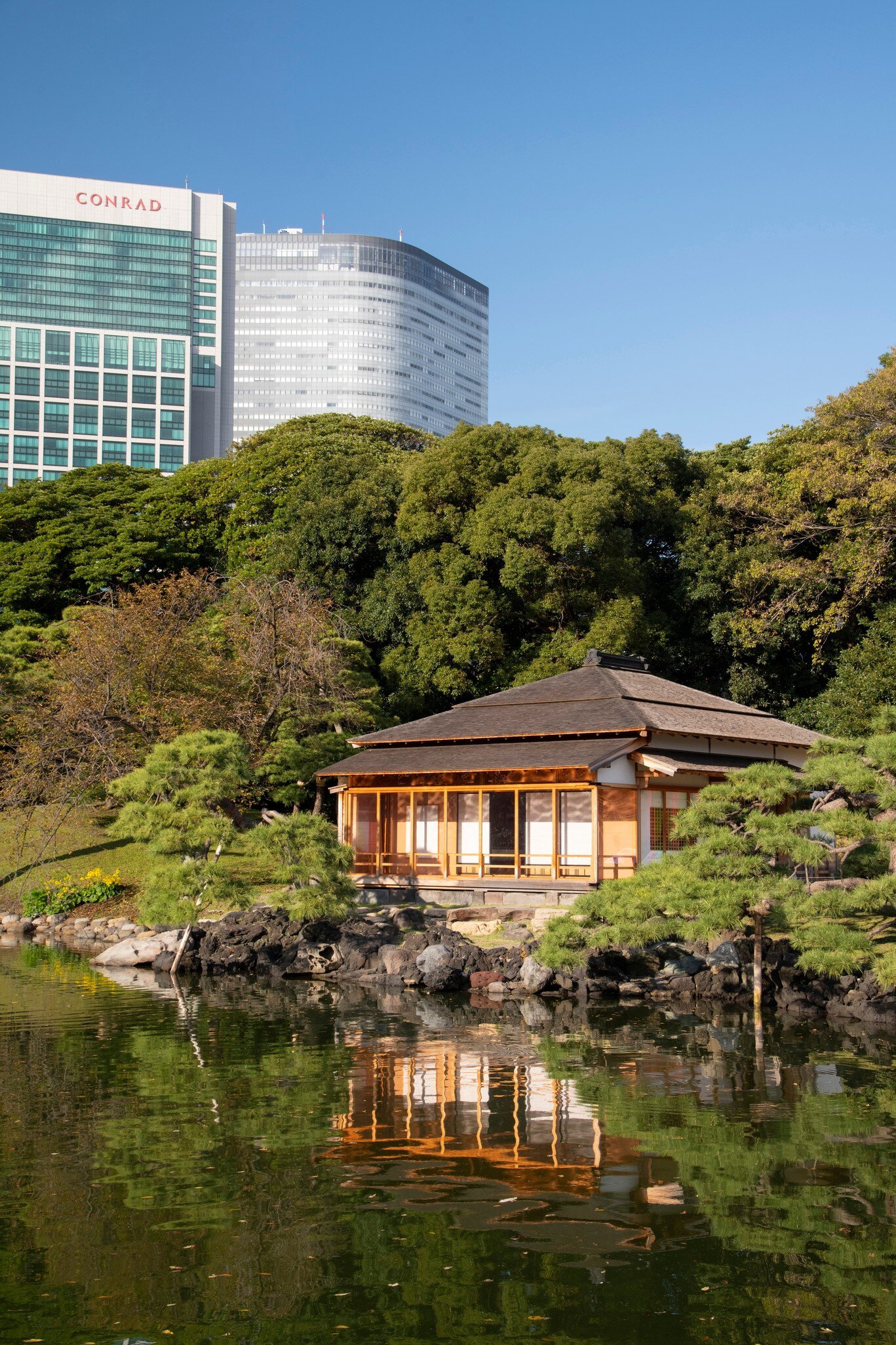 Tokyo, Japan - October 3, 2016: View at modern skyscrapers and  Hamarikyu Gardens in Tokyo. It is a public park opened April 1, 1946.