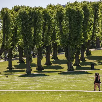 Dogwalkers walk through Frederiksberg Garden on a sunny day in Copenhagen, Denmark.