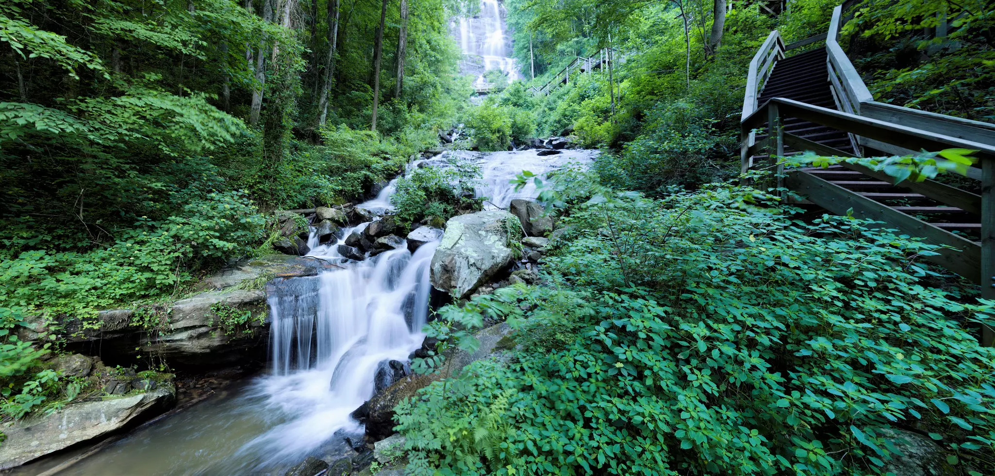 A creek cuts down a hillside along a wooden staircase in Amicalola Falls State Park