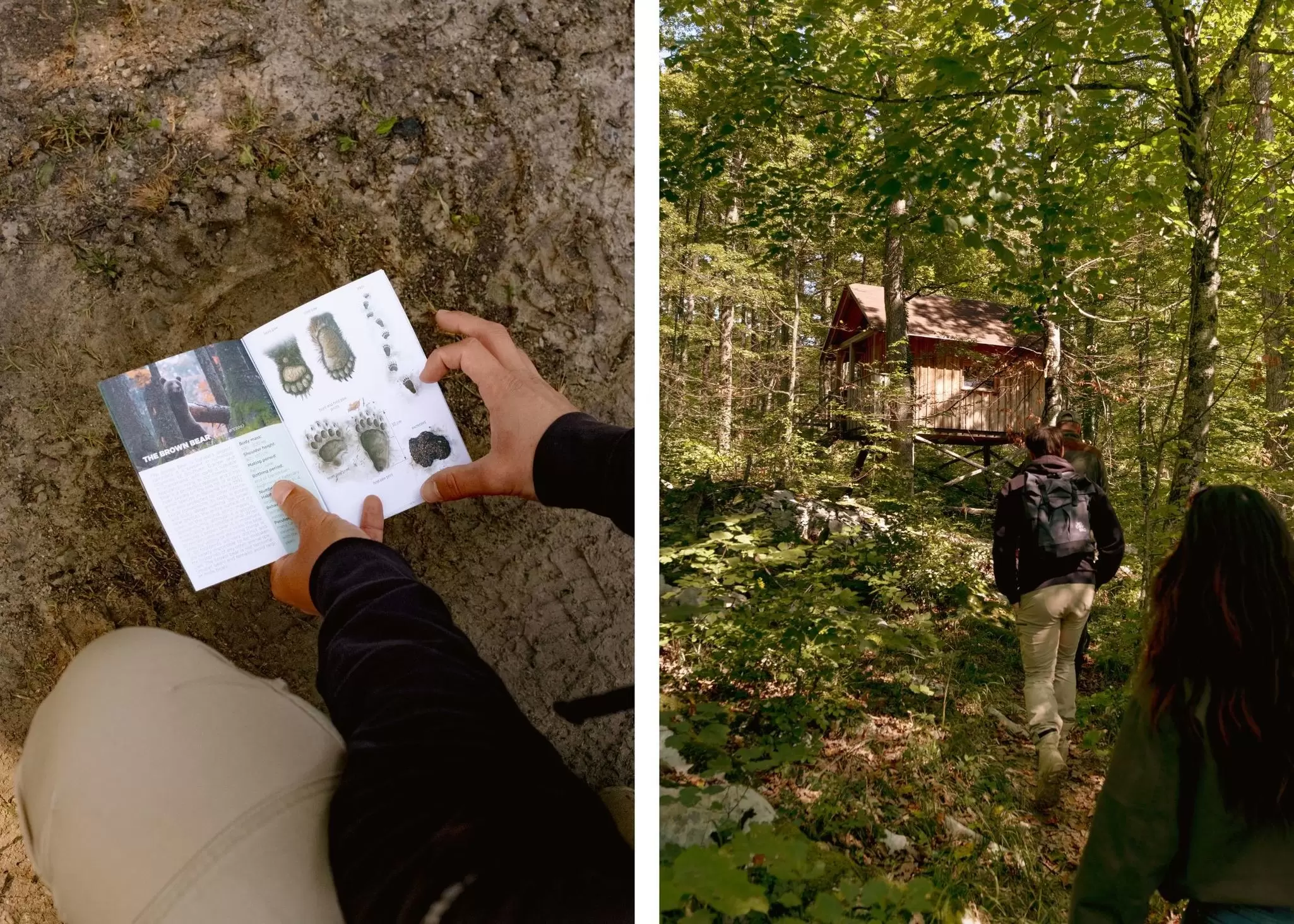 USE THIS FOR DYPTICHS - 1
**For Slovenia partnerships article
Left: Analyzing bear tracks. Right: Heading towards the bear observation hut with a local hunter and guide.