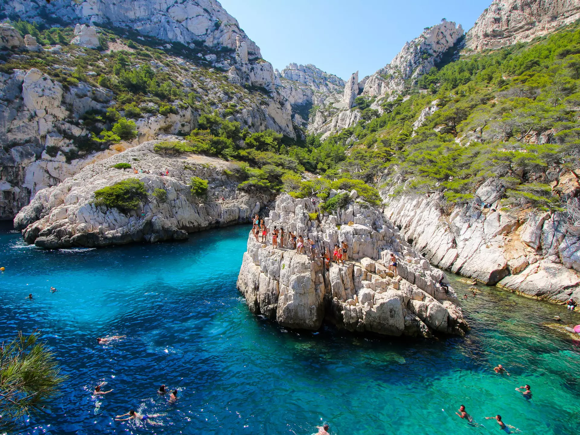 For fine wine, lavender fields and coastal coves, here are some of the best things to do in Provence. Alexandre.ROSA/Shutterstock