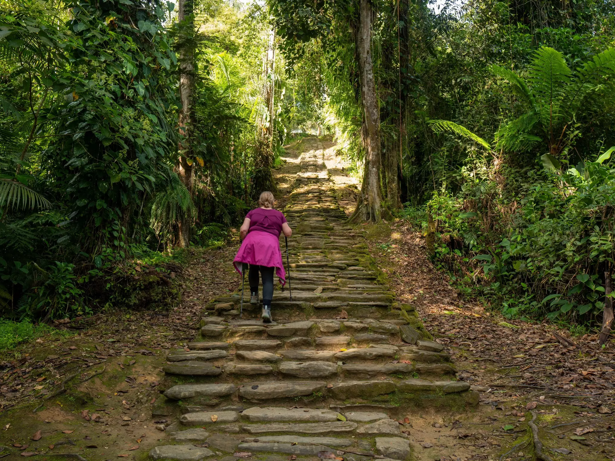 A female hiker walks up stone steps set into a hillside on a jungle path.