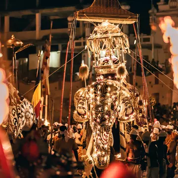 A majestic tusker Nadungamuwe Raja with flames and revellers at the Esala Perahera festival, Sri Lanka
