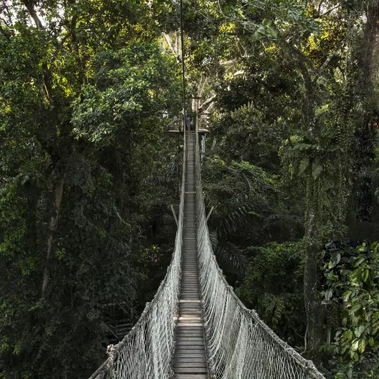 BIT 2026
Become a citizen scientist in the Amazon
Inkaterra