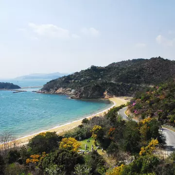 The beach surrounded by forest on Naoshima Island