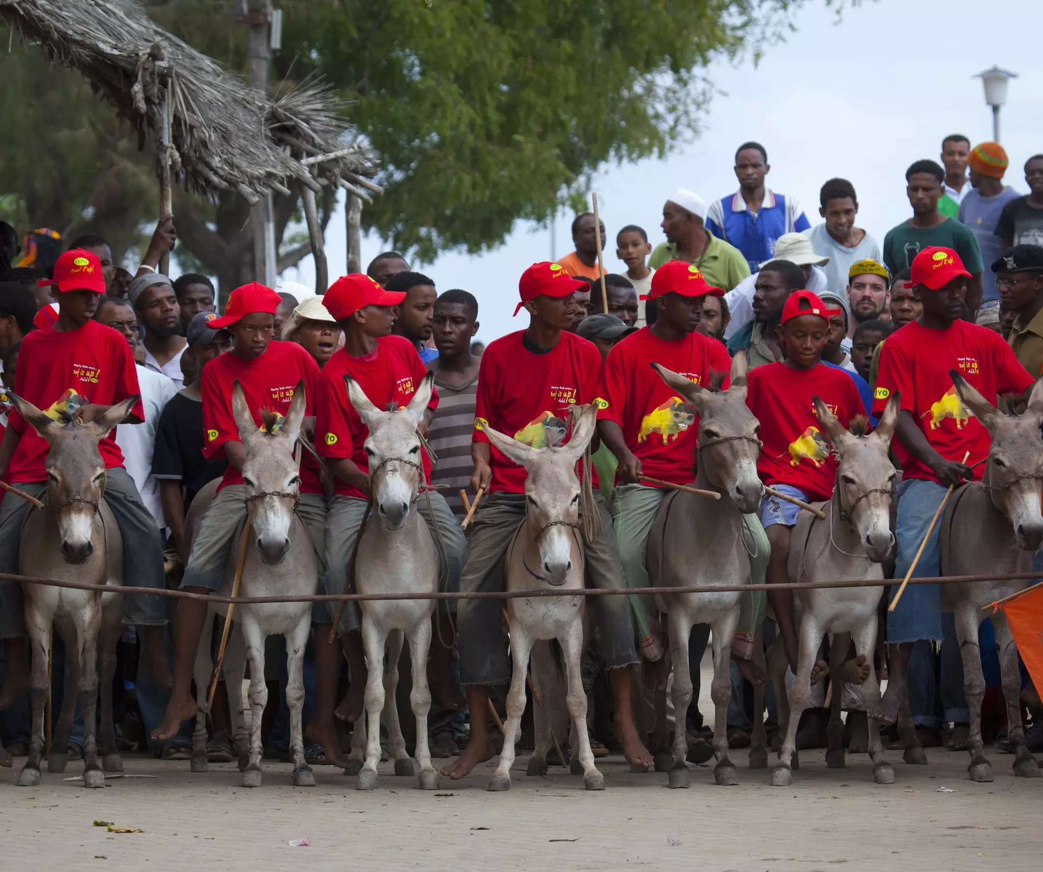 Boys line up in a donkey racing race, one of many sports held during Maulidi © Eric Lafforgue / Lonely Planet