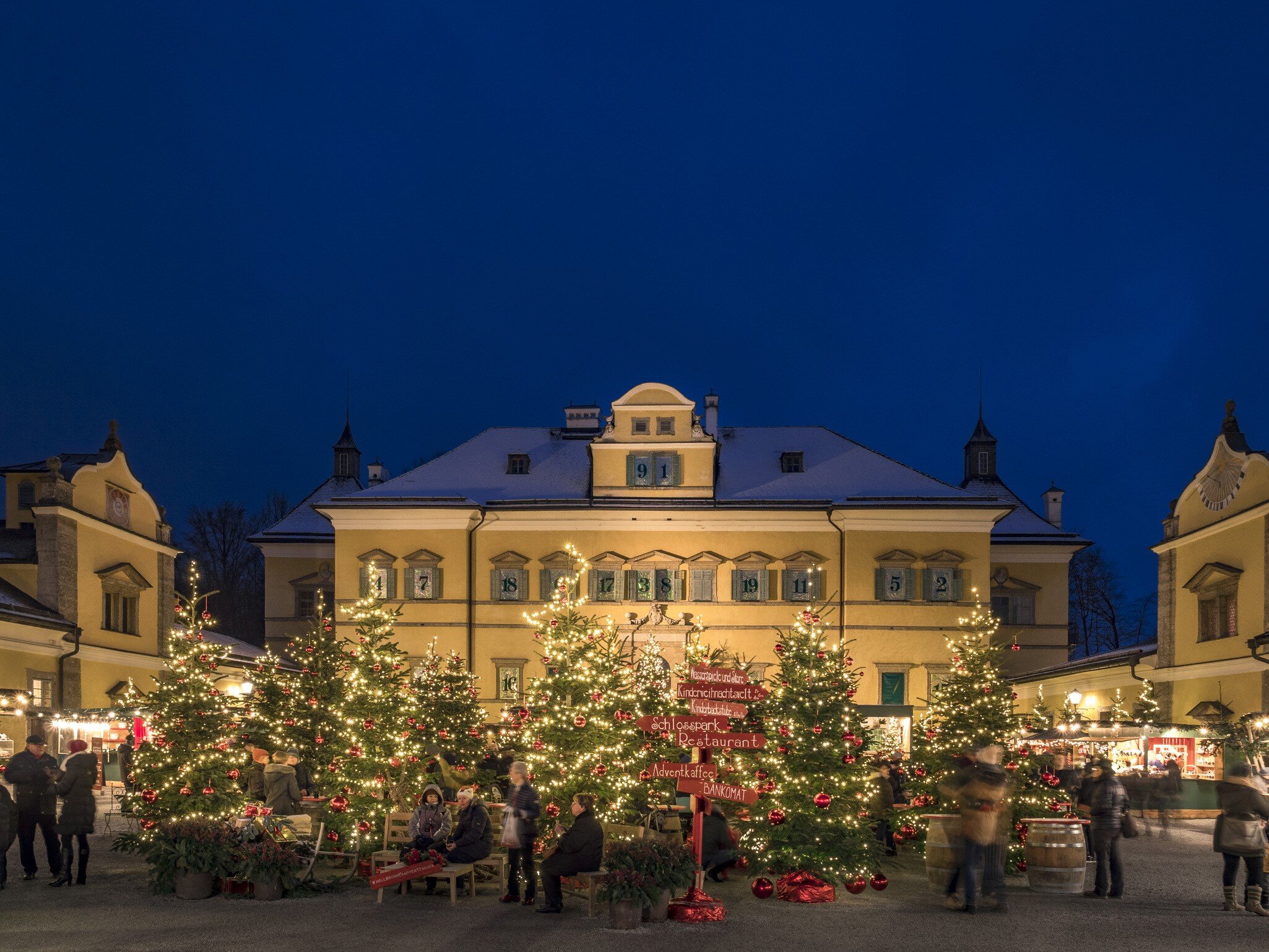 Christmas trees for sale at Hellbrunn Palace at Christmas, Salzburg
