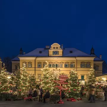 Christmas trees for sale at Hellbrunn Palace at Christmas, Salzburg