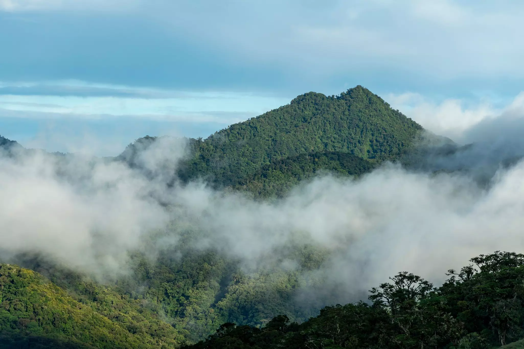 Misty cloud forest in the foothills of the Chiriqui highlands in Baru volcano, Panama, Central America.