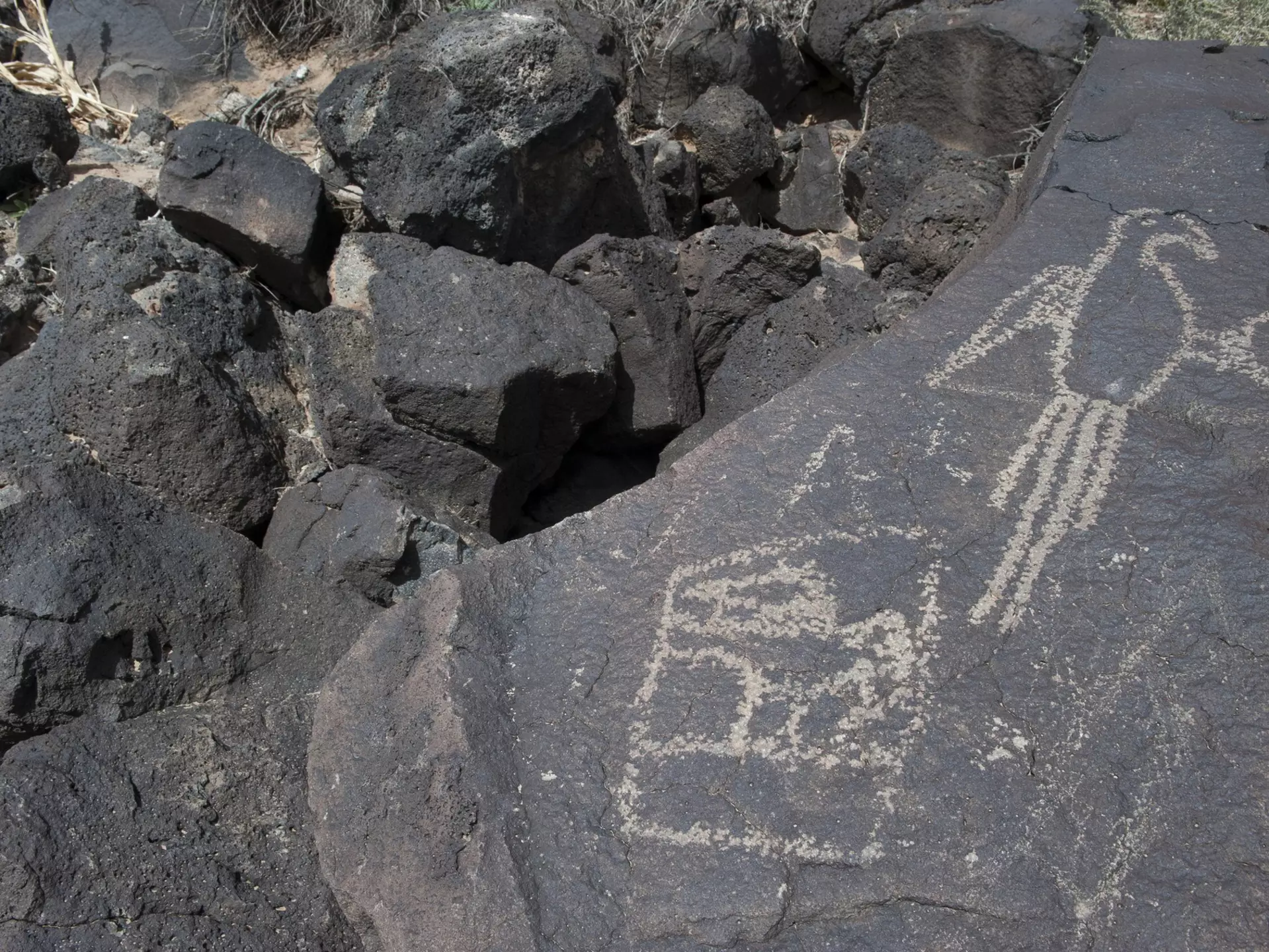 Carvings at Petroglyph National Monument, Albuquerque, New Mexico, USA